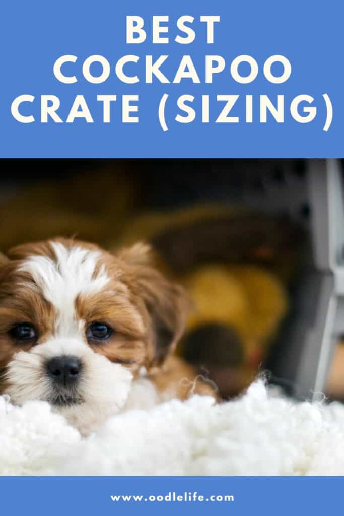 What Size Crate for a Cockapoo