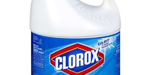 Does Chlorine Kill Spiders
