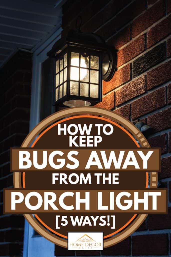 How to Keep Spiders Away from Porch Lights