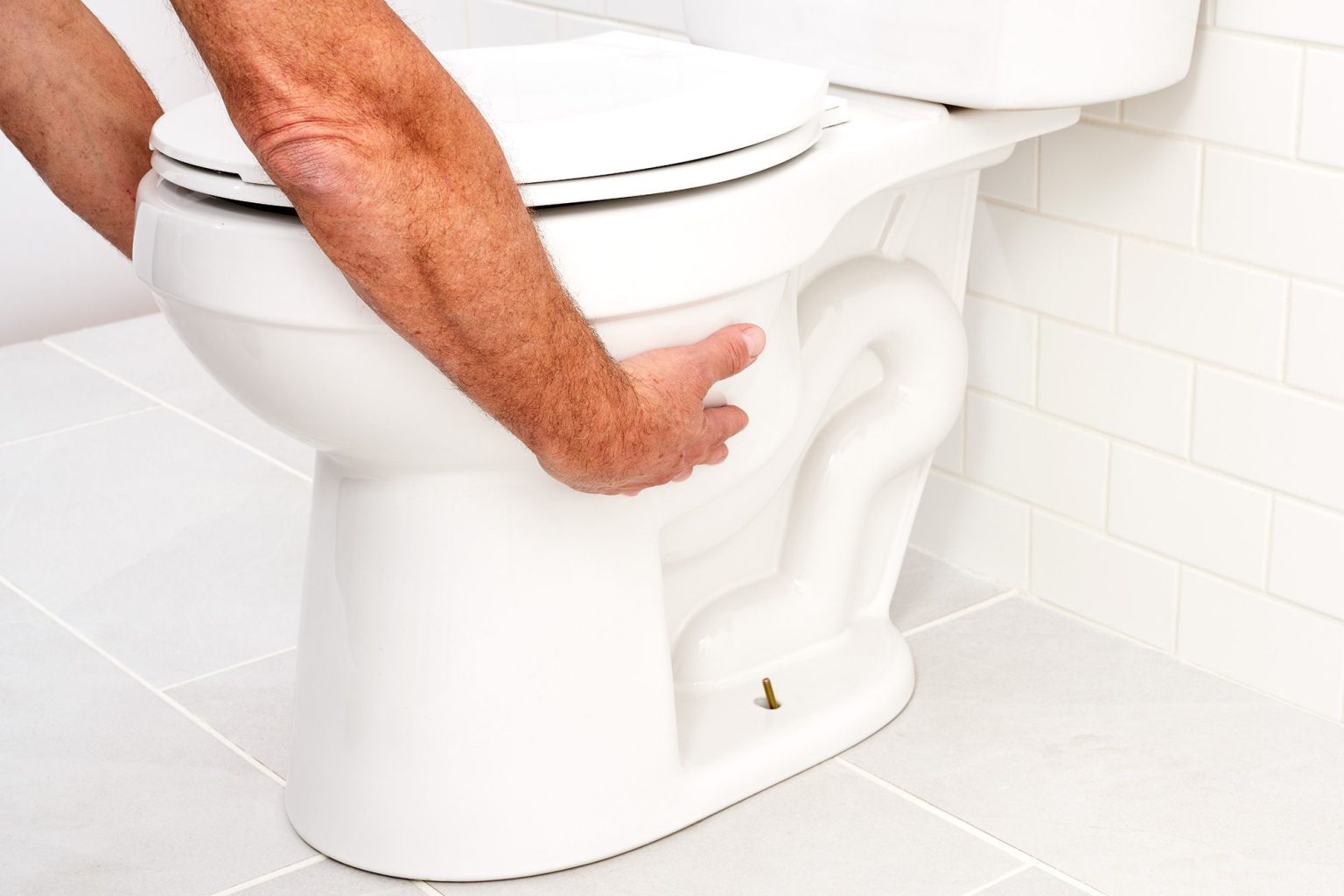 How to Move a Toilet Katynel