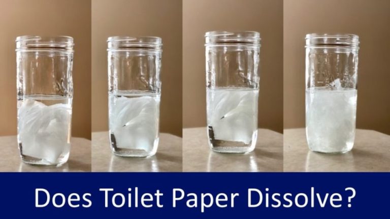 Does Toilet Paper Dissolve in the Toilet