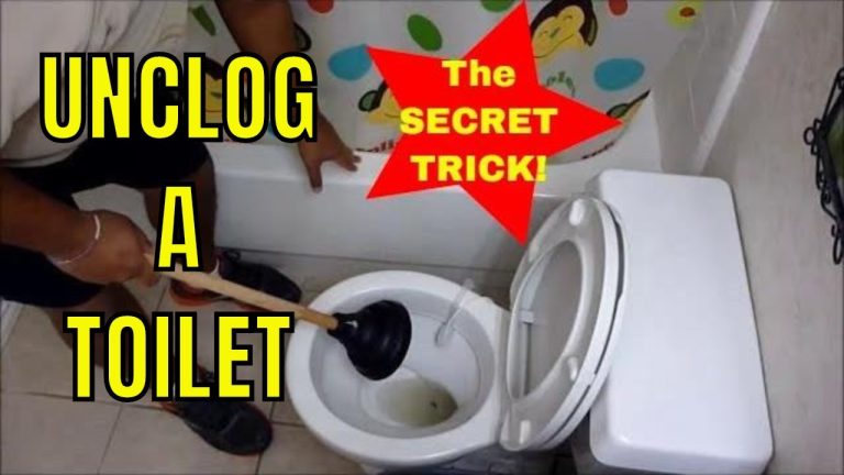 How to Unclog a Toilet With Poop in It