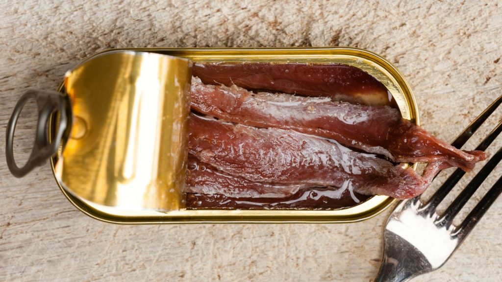 What Do Anchovies Eat Katynel