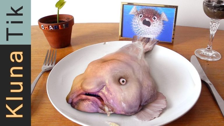 What Do Blobfish Eat