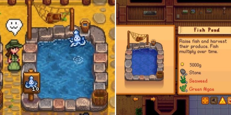 How Does the Pond Work in Stardew Valley